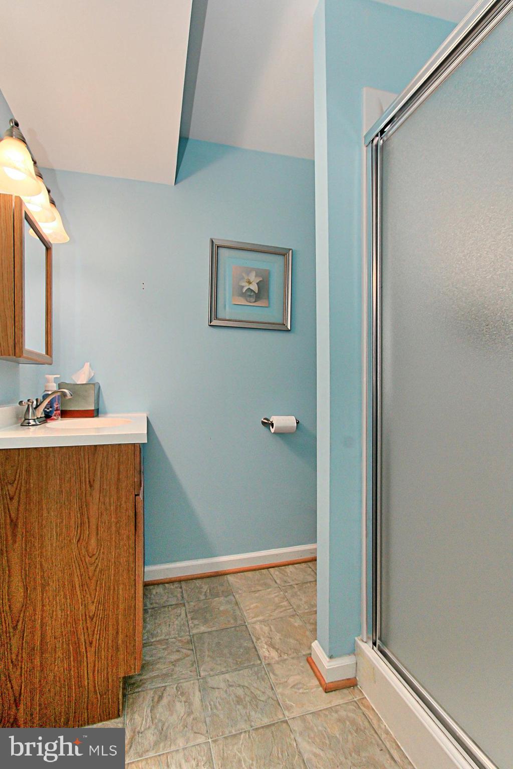 9924 Manet Road Burke, VA 22015 - Photo 17 of 50 LL Full Bath next to Den