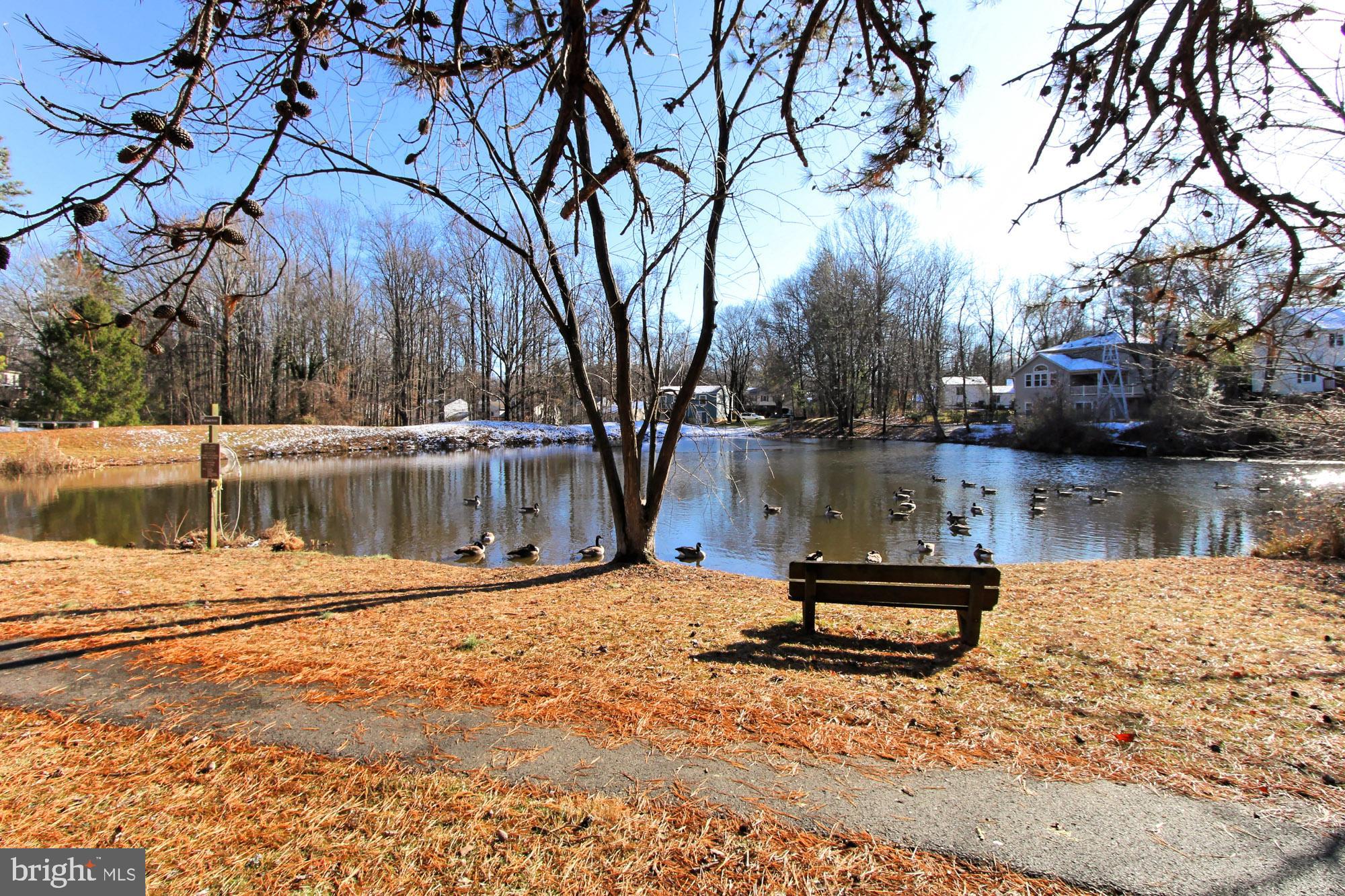 9924 Manet Road Burke, VA 22015 - Photo 35 of 50 The Pond near Community Center