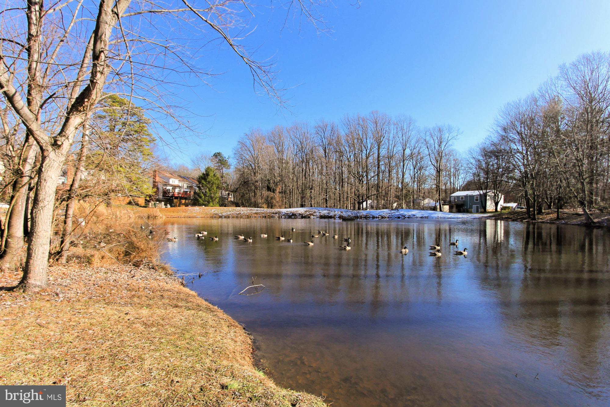 9924 Manet Road Burke, VA 22015 - Photo 36 of 50 Gallery Image 36