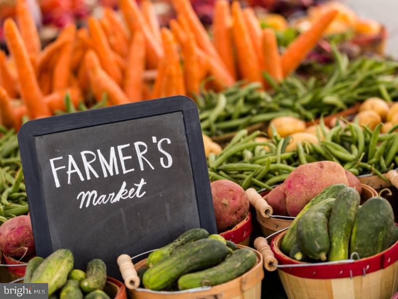 9924 Manet Road Burke, VA 22015 - Photo 40 of 50 Farmers market from May to Oct.