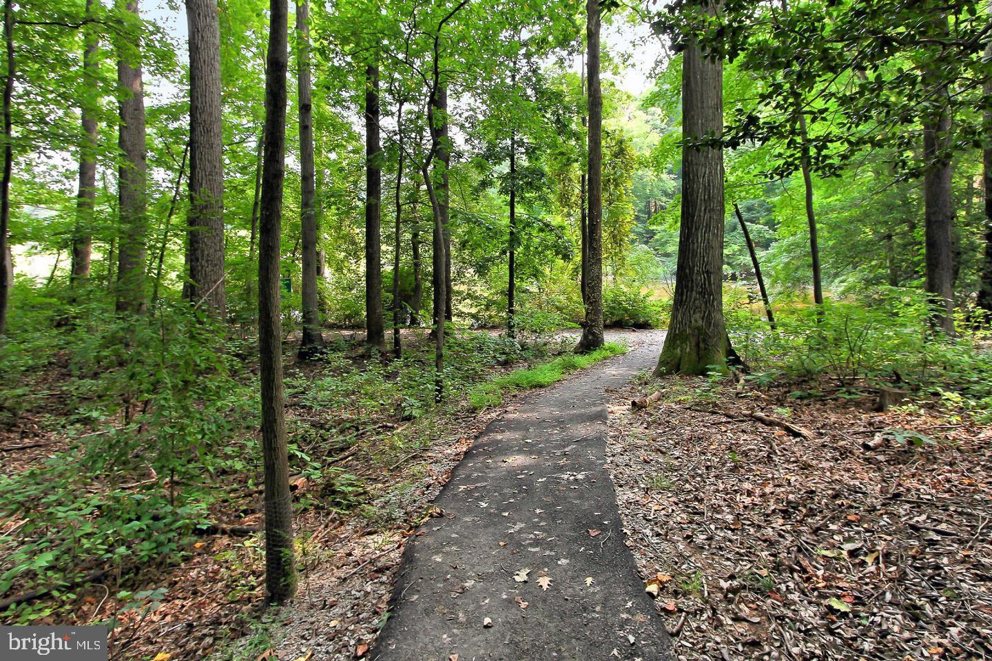 9924 Manet Road Burke, VA 22015 - Photo 41 of 50 Explore the nature that Burke Centre has to offer!