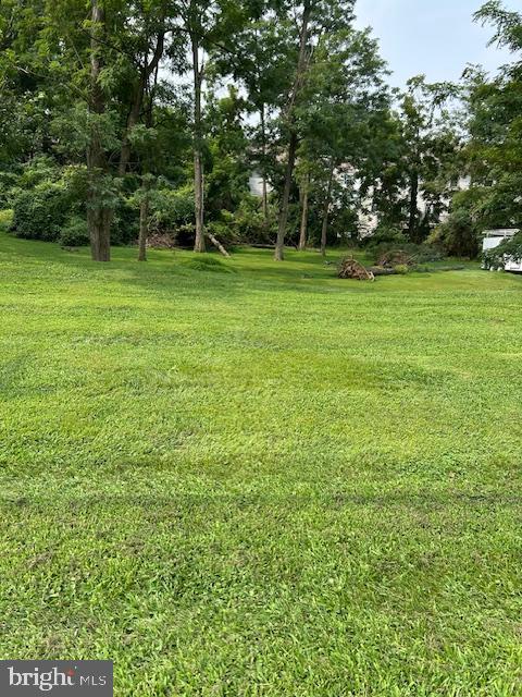 0 Chichester Avenue Marcus Hook, PA 19061 - Photo 1 of 6 a view of a grassy field with trees