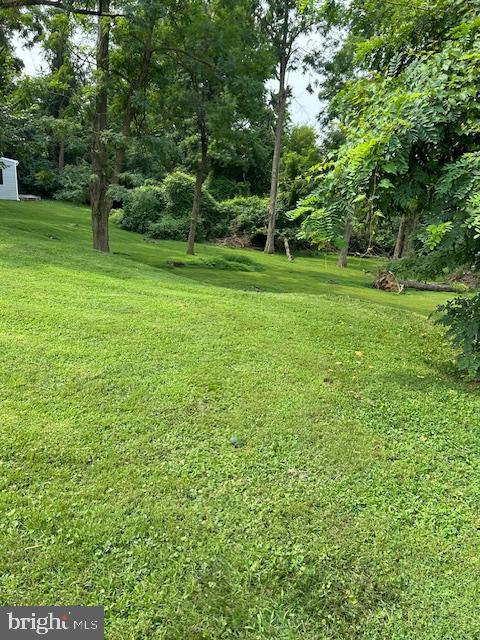 0 Chichester Avenue Marcus Hook, PA 19061 - Photo 2 of 6 a view of a park with large trees