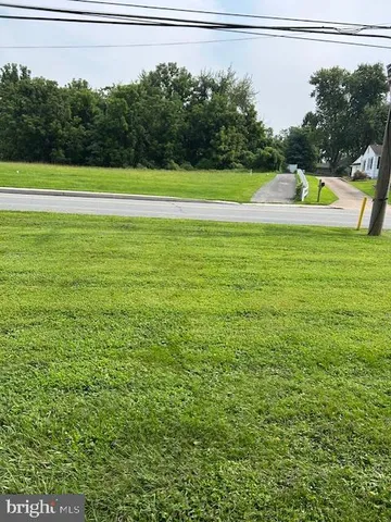 a view of a swimming pool with a yard and palm trees