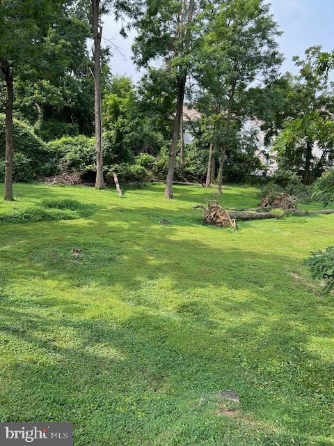 0 Chichester Avenue Marcus Hook, PA 19061 - Photo 5 of 6 a view of a park with trees and grass