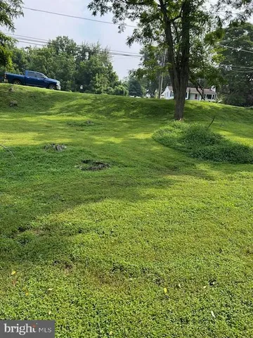 a view of a trees with a big yard
