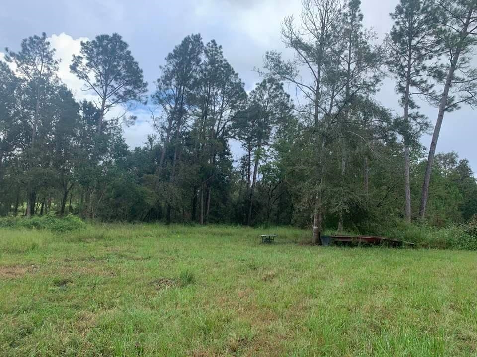 26348 Feely Road Elberta, AL 36530 - Photo 12 of 43