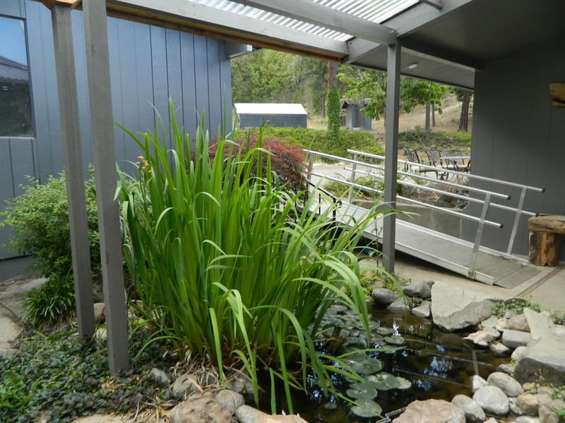 12320 Water Gap Road Williams, OR 97544 - Photo 5 of 53 Koi Pond by Front Door