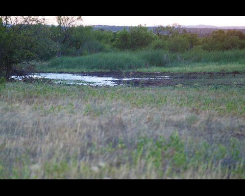 County Road Quitaque, TX 79255 - Photo 2 of 16 2-6401373053