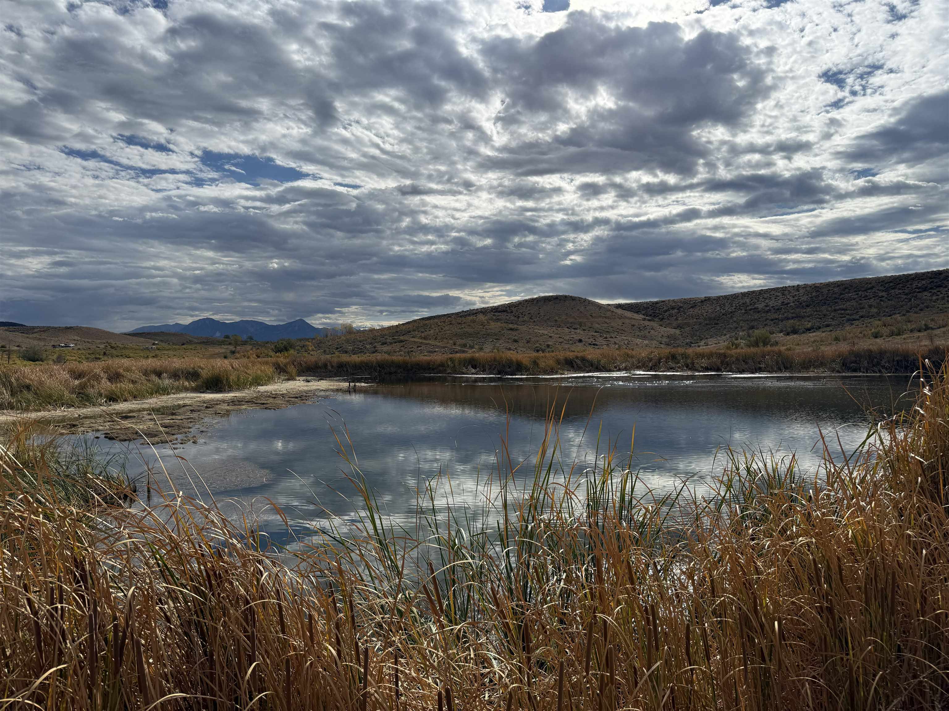 Payne Siding Road Hotchkiss, CO 81419 - Photo 1 of 38