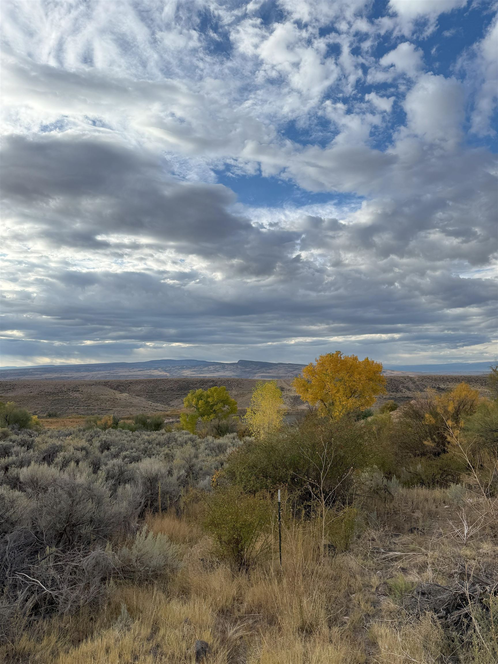 Payne Siding Road Hotchkiss, CO 81419 - Photo 12 of 38 a view of an ocean