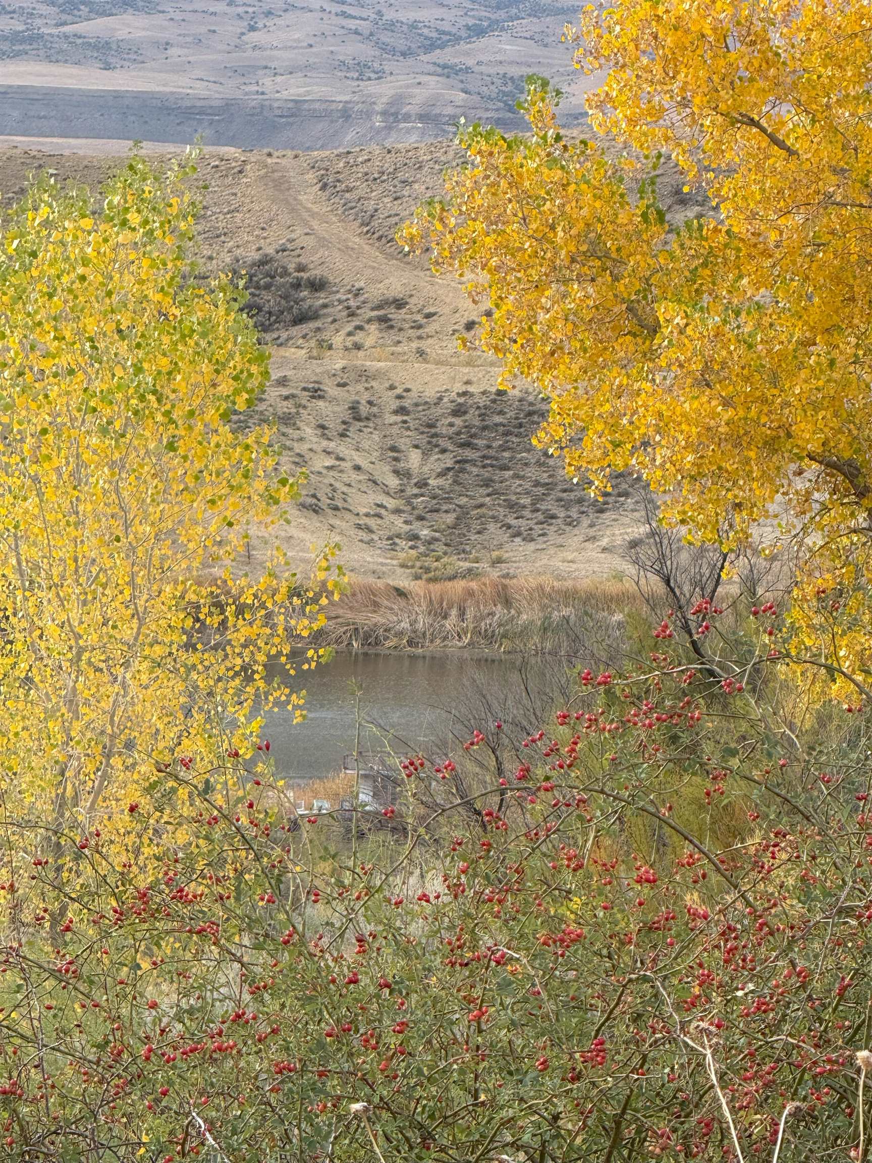 Payne Siding Road Hotchkiss, CO 81419 - Photo 13 of 38 a view of ocean view