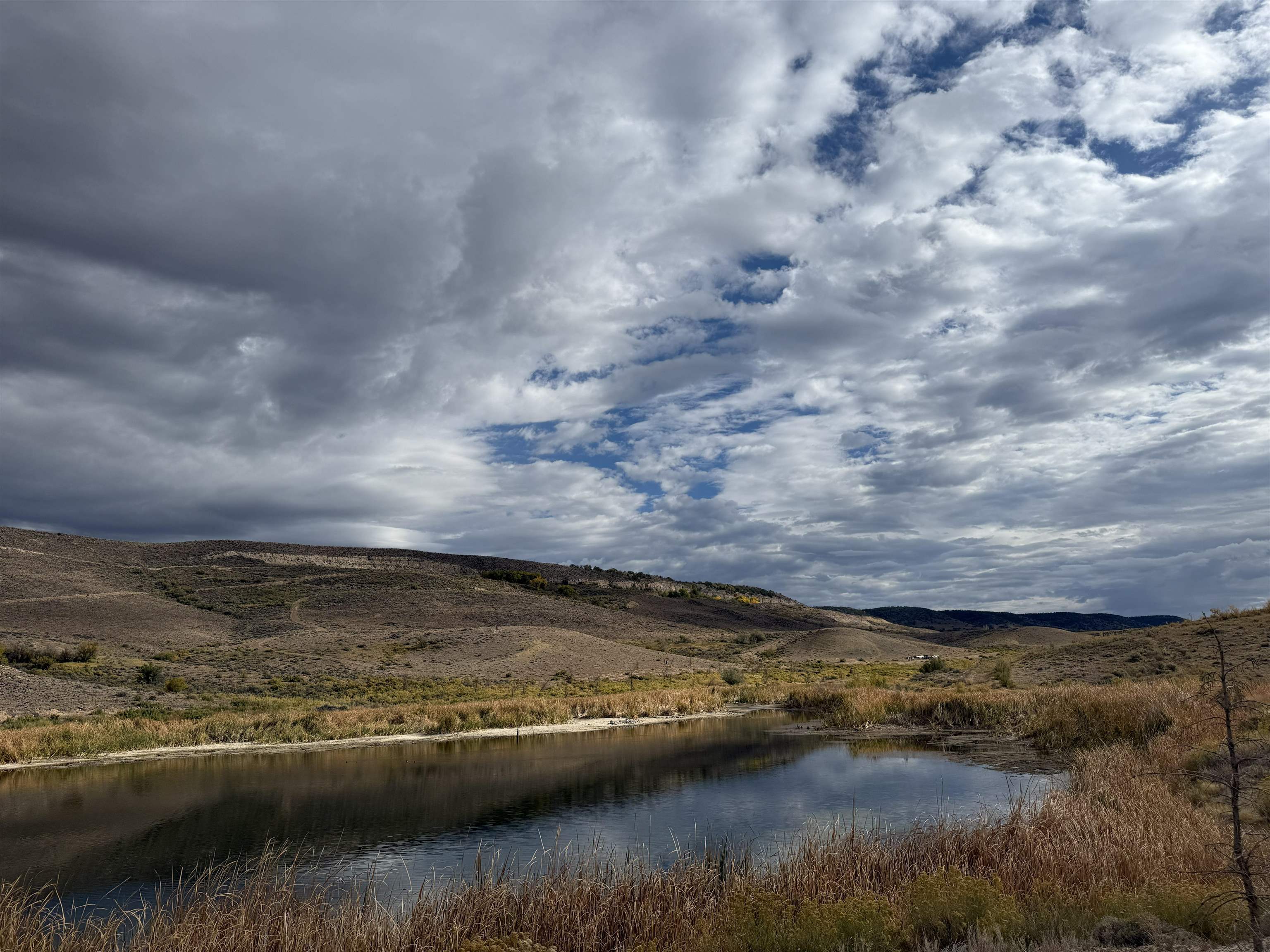 Payne Siding Road Hotchkiss, CO 81419 - Photo 36 of 38