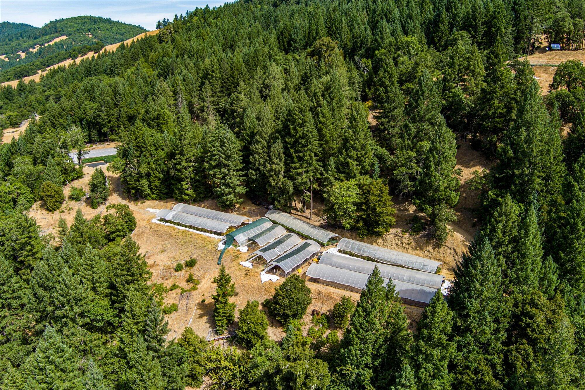 0 West River Road Bridgeville, CA 95526 - Photo 3 of 32