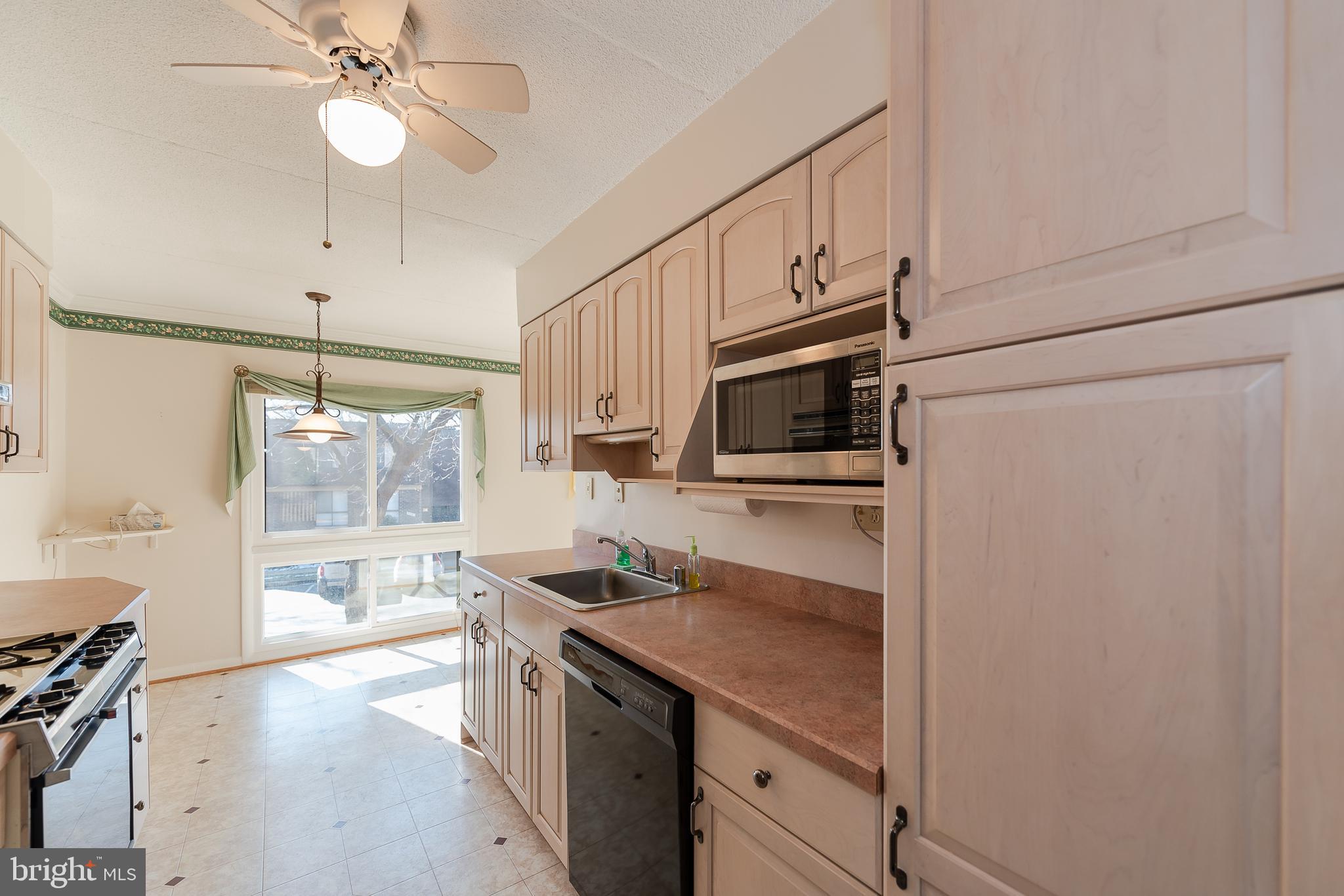 5247 West Running Brook Road, Unit 201 Columbia, MD 21044 - Photo 9 of 27 Kitchen