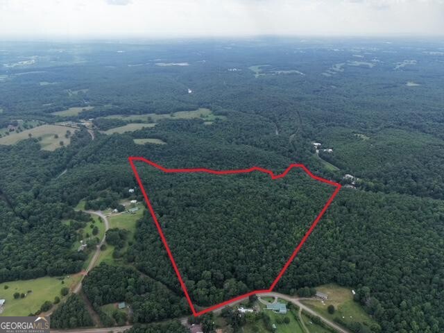 1590 James Adams Road Danielsville, GA 30633 - Photo 3 of 98