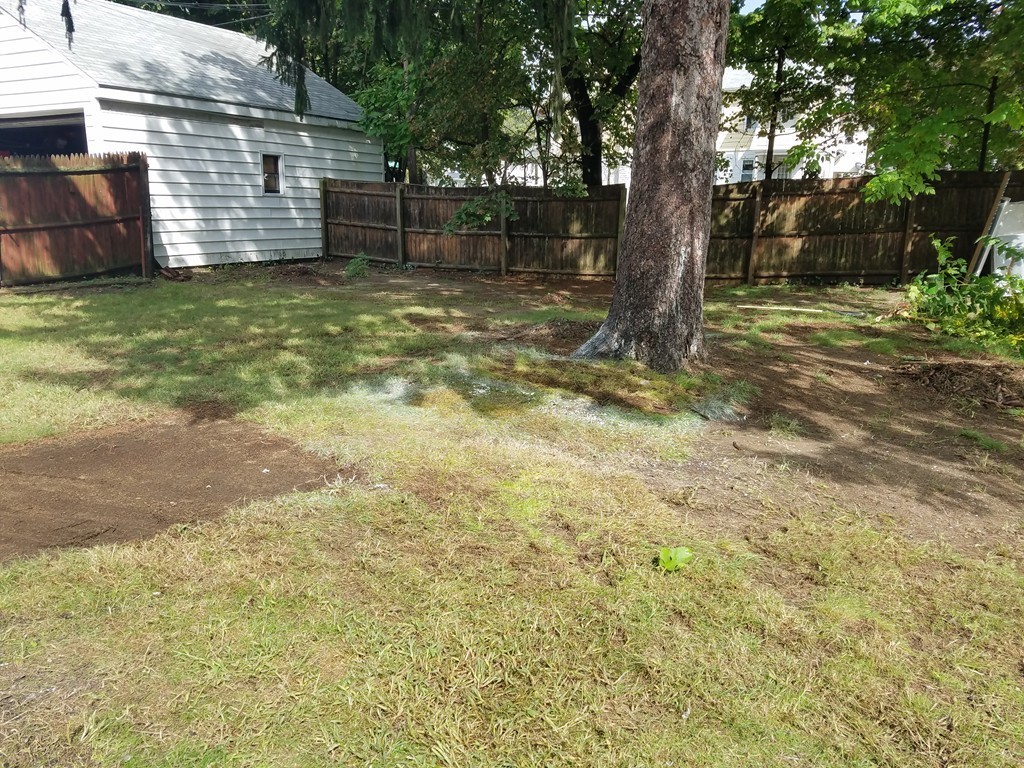 17 Dineen Street Springfield, MA 01104 - Photo 4 of 22
