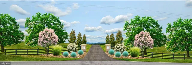 a view of a flower in a garden