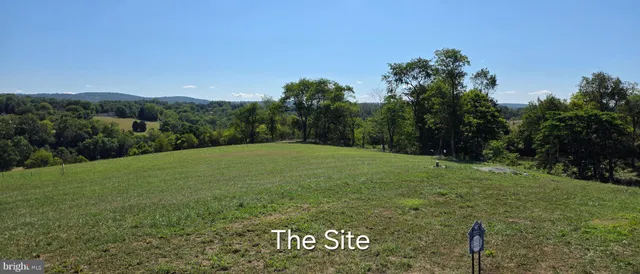 a view of a field with a tree in the background