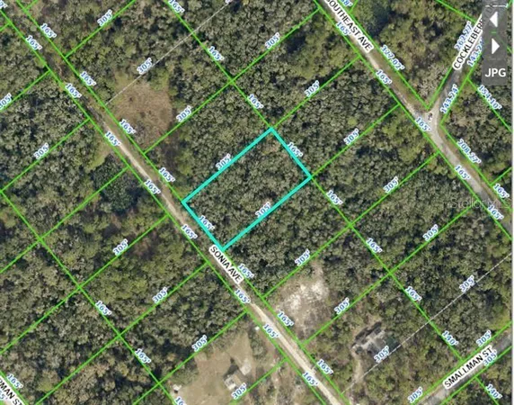 $40,600 | 7252 Sonia Avenue, Webster, FL 33597