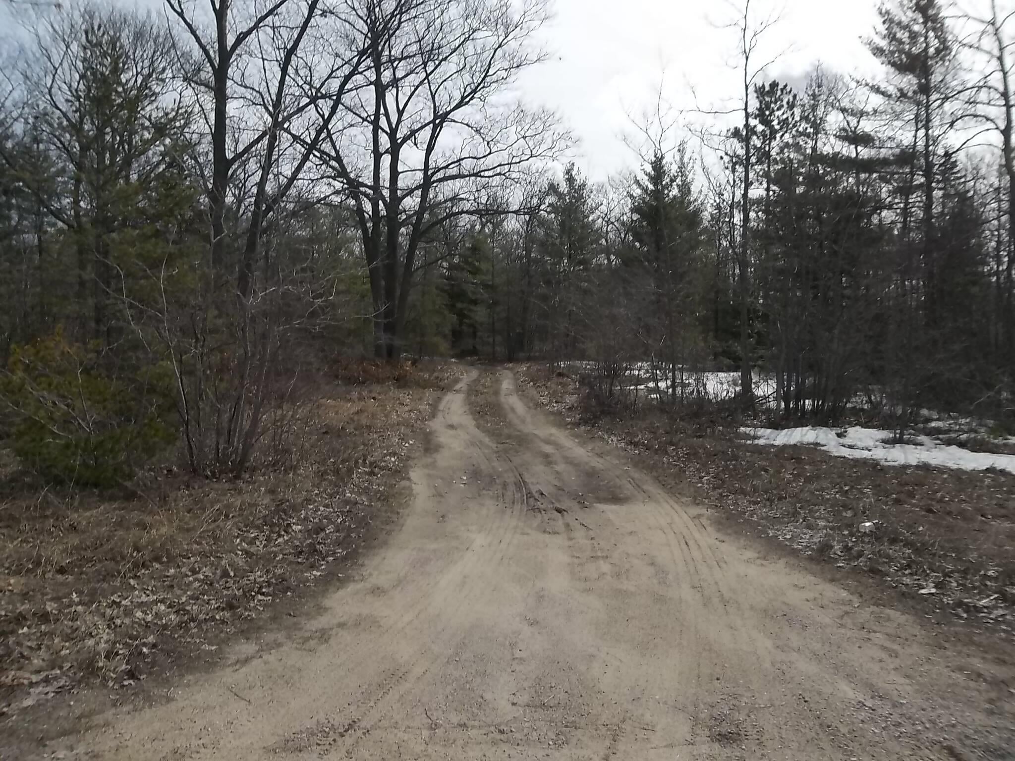 Brudy Road Indian River, MI 49749 - Photo 5 of 8 Gallery Image 5