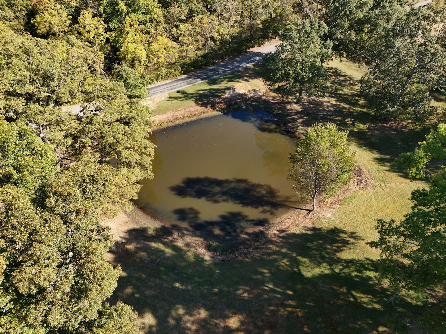 15049 Fowler School Road Marion, IL 62959 - Photo 45 of 53 Gallery Image 45