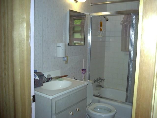 8 North Eastbrook Road Effort, PA 18330 - Photo 8 of 10 a bathroom with a sink toilet and shower
