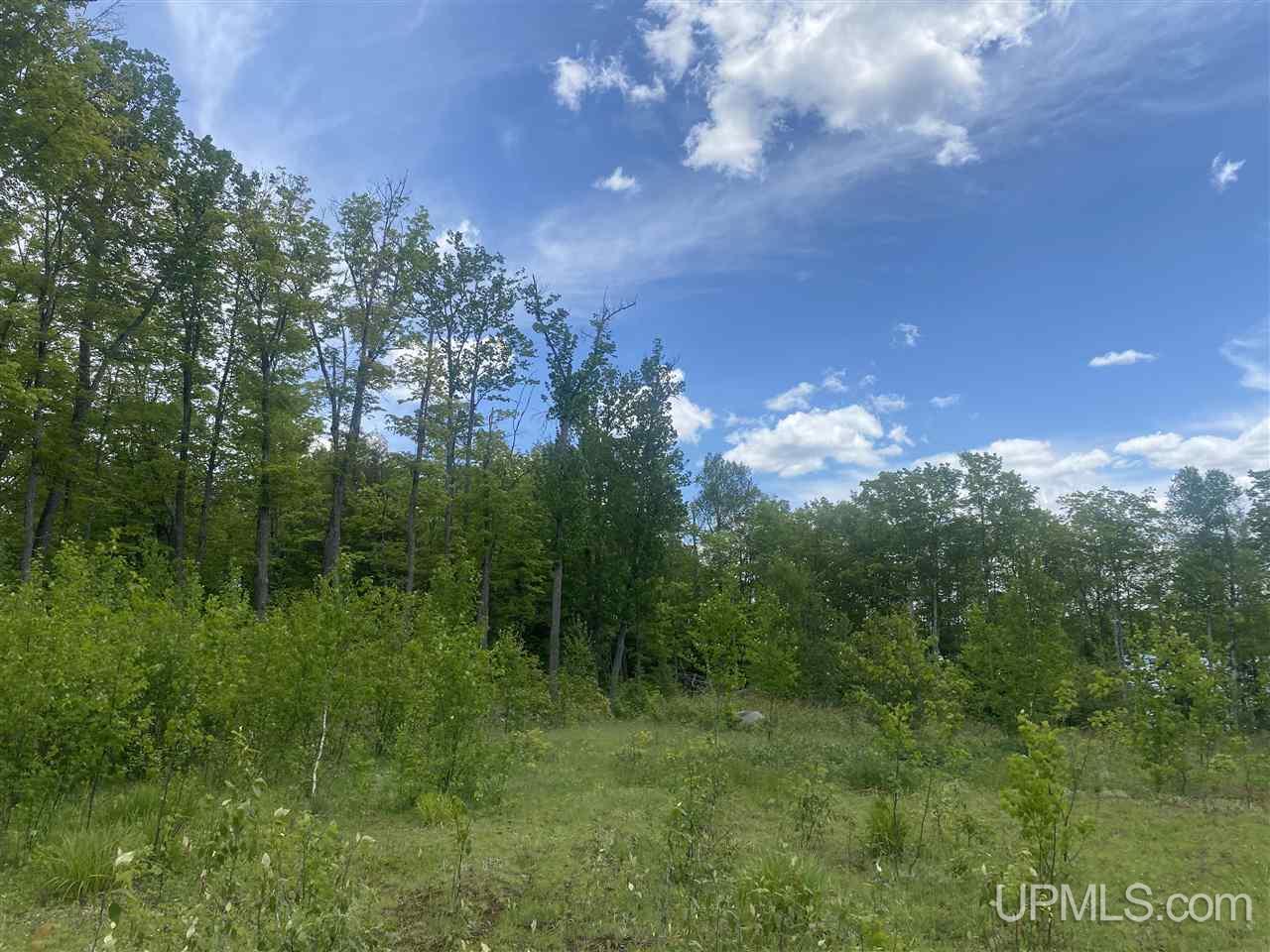 Tbd West Tamarack Lake Road, Unit 17 Iron River, MI 49935 - Photo 43 of 45
