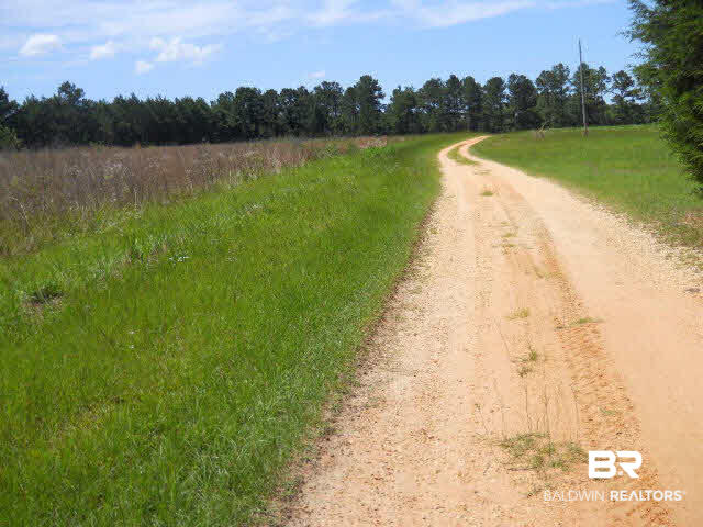 484 Hollington Road Brewton, AL 36426 - Photo 11 of 11 Land