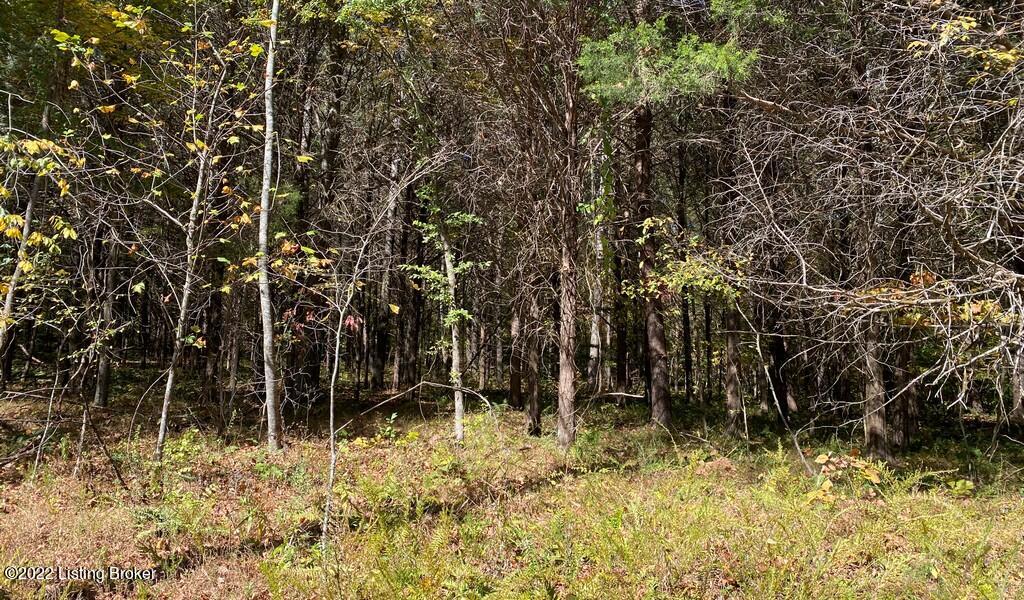 L41 Ted Logsdon Road Clarkson, KY 42726 - Photo 11 of 13 River View Fall189