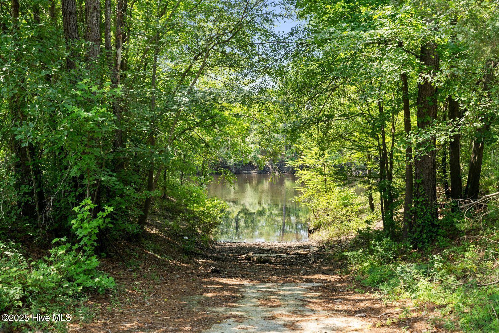 364 Murray Turner Farm Road Burgaw, NC 28425 - Photo 3 of 72 Private Boat Ramp