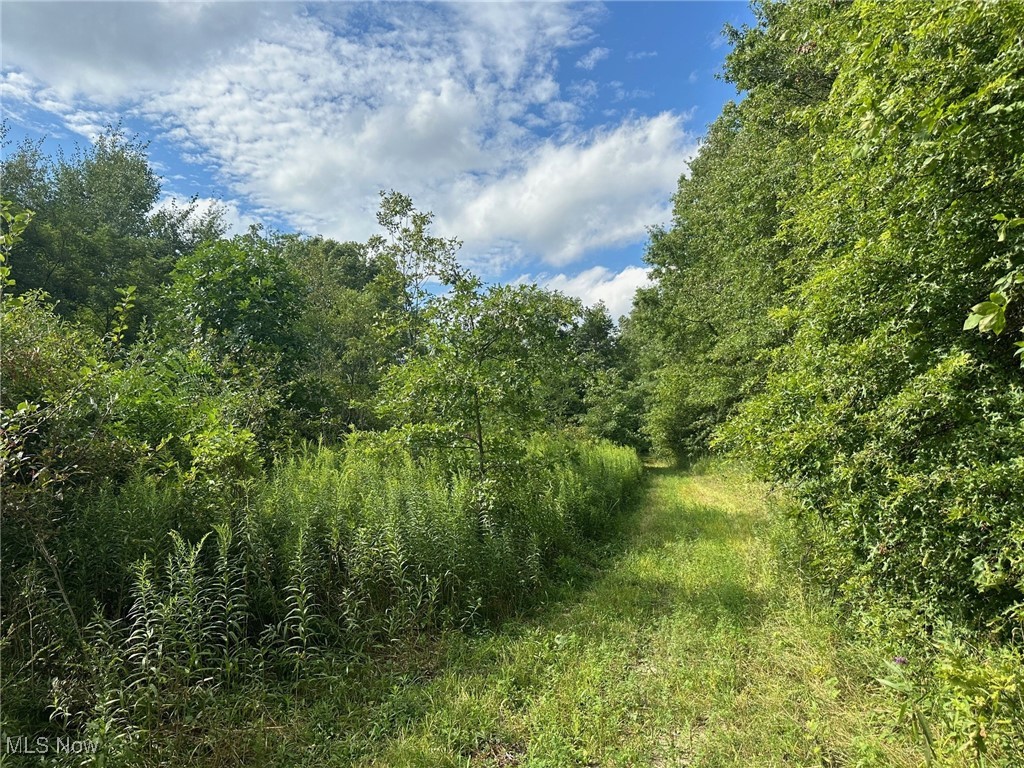 2 Fenstermaker Road Garrettsville, OH 44231 - Photo 11 of 29 View of landscape
