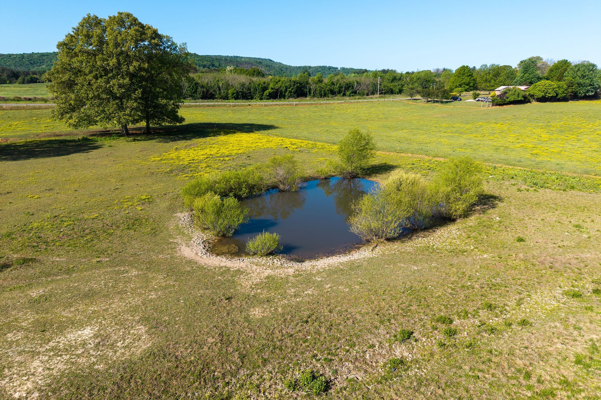 1680 Harrison Ferry Road McMinnville, TN 37110 - Photo 16 of 41 Gallery Image 16