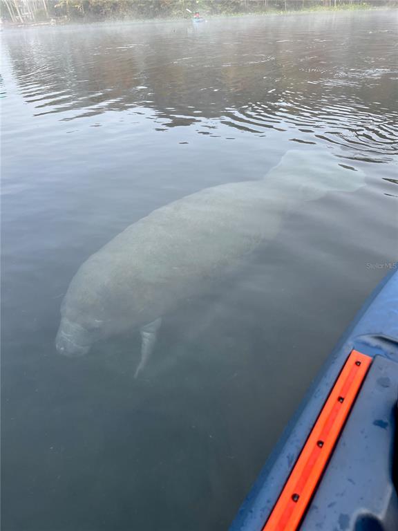 2915 Northeast 102nd Ave Road Silver Springs, FL 34488 - Photo 54 of 63