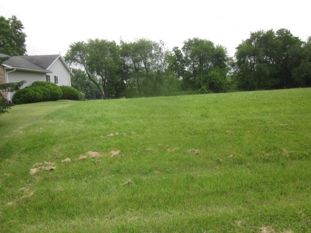 a view of yard with grass and trees
