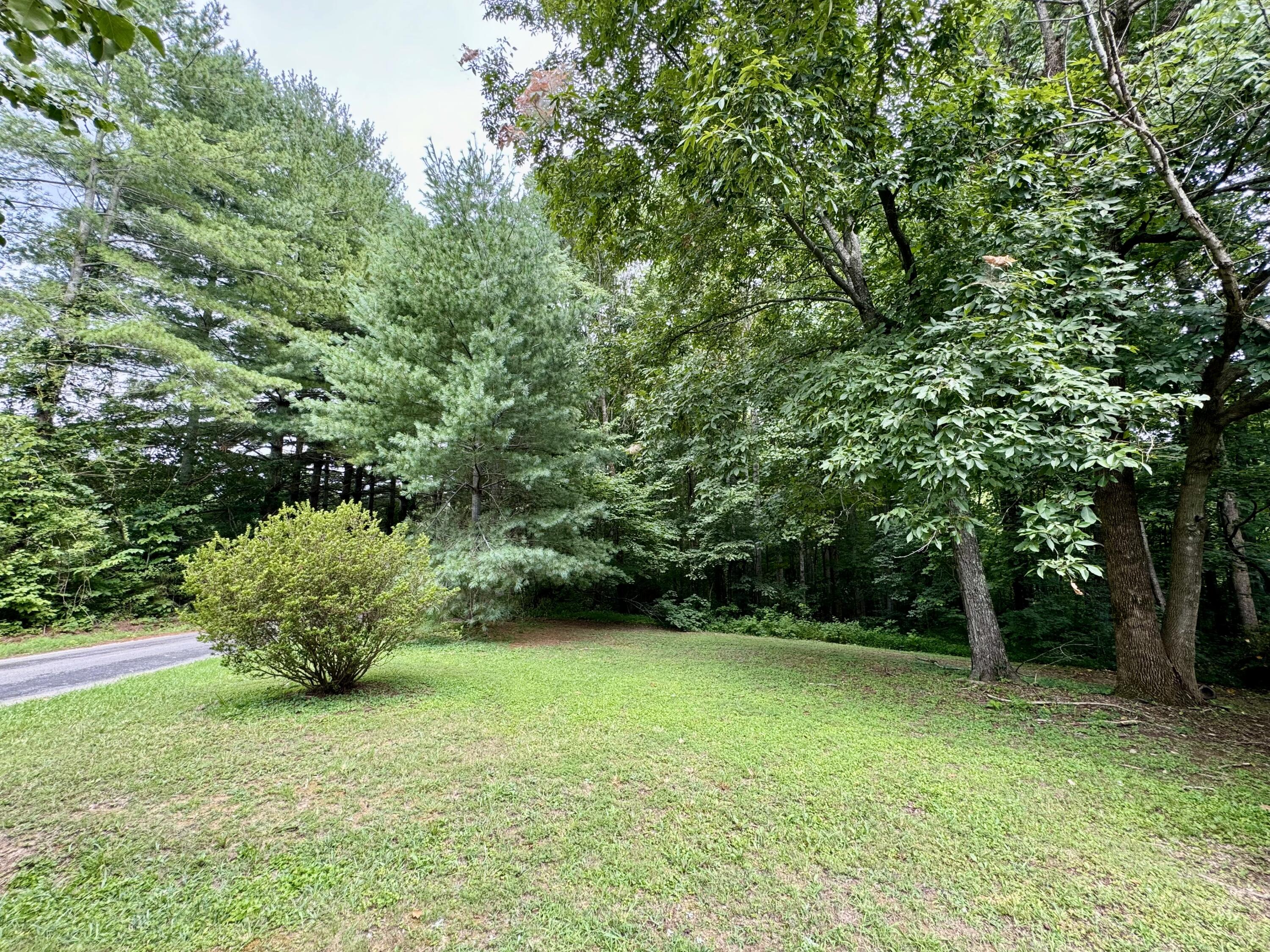 3375 Ewing Ridge Road Dunnville, KY 42528 - Photo 6 of 16 IMG_8678