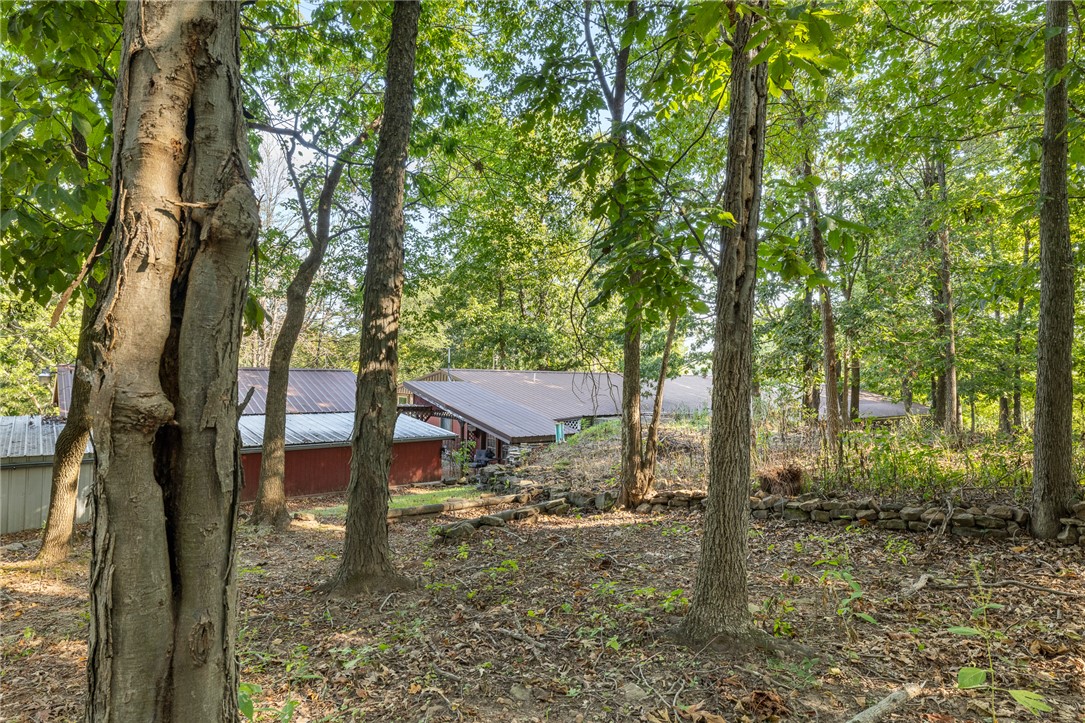 6832 NC 1300 Compton, AR 72624 - Photo 59 of 60 Gallery Image 59