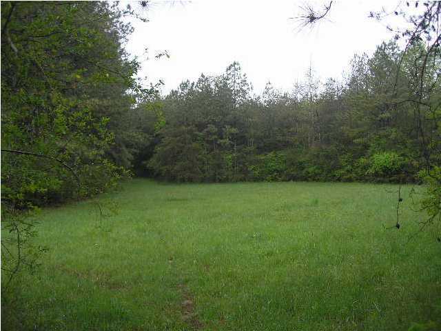 3200 Houston Valley Road Ringgold, GA 30736 - Photo 1 of 1 Primary Photo