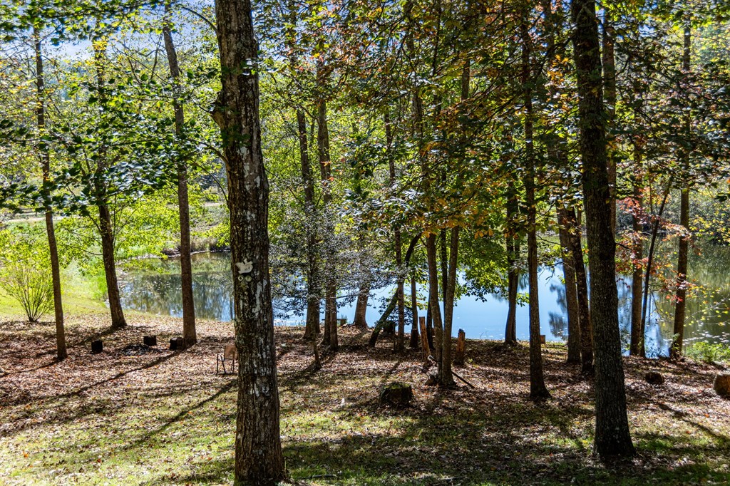 281 Autumn Road Mineral Bluff, GA 30559 - Photo 45 of 56 Gallery Image 45