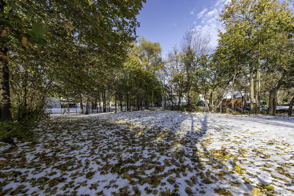 1118 Shiloh Boulevard Zion, IL 60099 - Photo 29 of 33 a view of a yard with plants and trees