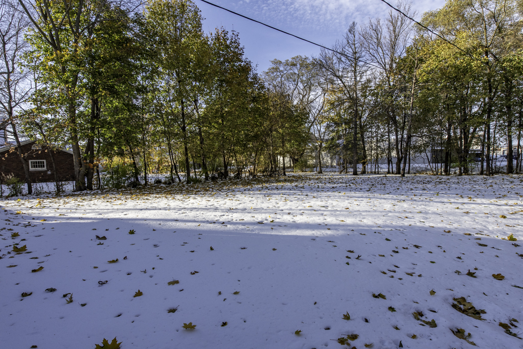 1118 Shiloh Boulevard Zion, IL 60099 - Photo 32 of 33 a view of yard covered with snow in front of house