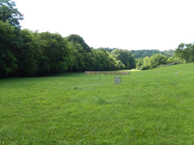 0 Dr Robinson Rd Spring Hill Spring Hill, TN 37174 - Photo 13 of 16