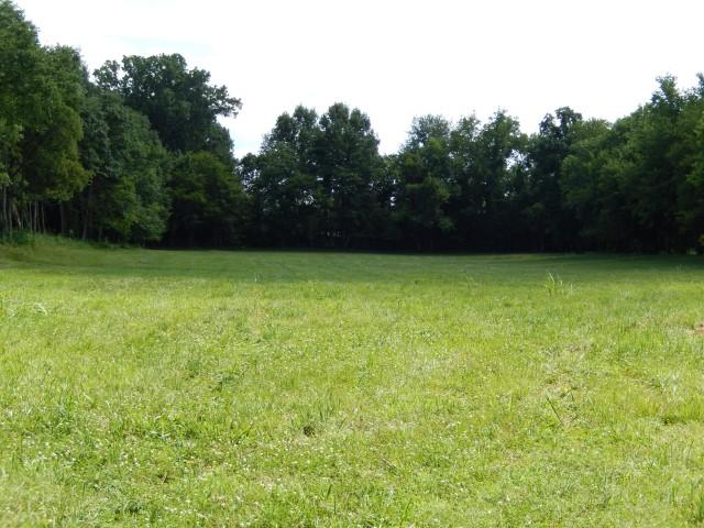 0 Dr Robinson Rd Spring Hill Spring Hill, TN 37174 - Photo 16 of 16