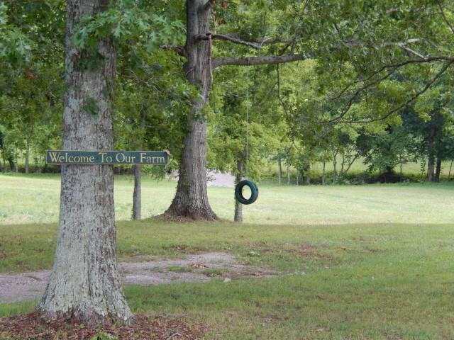 0 Dr Robinson Rd Spring Hill Spring Hill, TN 37174 - Photo 3 of 16