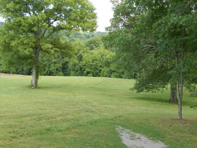 0 Dr Robinson Rd Spring Hill Spring Hill, TN 37174 - Photo 4 of 16
