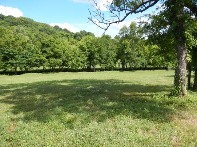 0 Dr Robinson Rd Spring Hill Spring Hill, TN 37174 - Photo 5 of 16