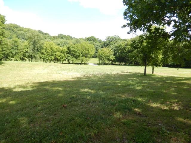 0 Dr Robinson Rd Spring Hill Spring Hill, TN 37174 - Photo 6 of 16