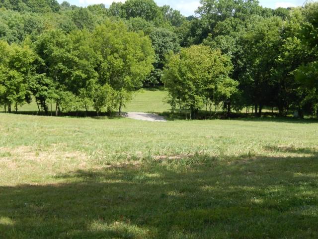 0 Dr Robinson Rd Spring Hill Spring Hill, TN 37174 - Photo 7 of 16
