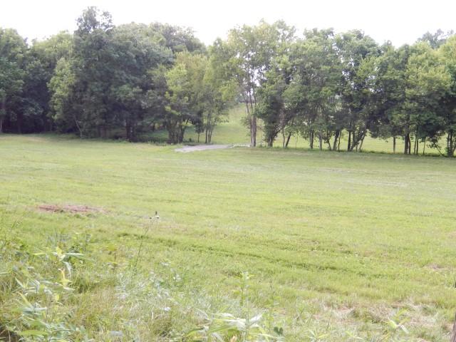 0 Dr Robinson Rd Spring Hill Spring Hill, TN 37174 - Photo 9 of 16