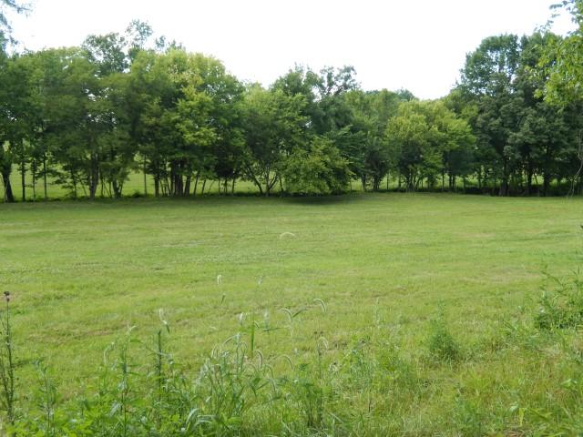 0 Dr Robinson Rd Spring Hill Spring Hill, TN 37174 - Photo 10 of 16
